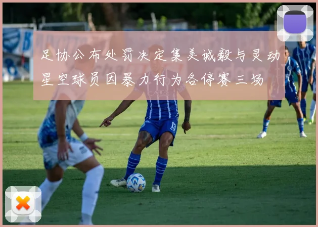 足协公布处罚决定集美诚毅与灵动星空球员因暴力行为各停赛三场